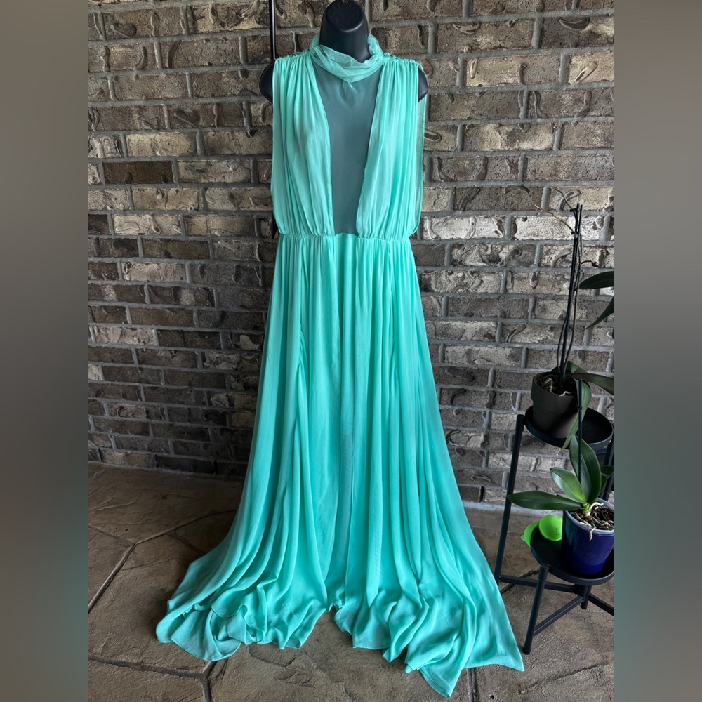 Anthropology Forever That Girl Sheer Plunge Chiffon Maxi Dress Size L - Picture 4 of 16